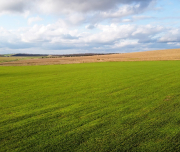 commercial-land.jpg